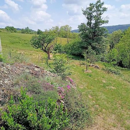 Ecrin De Verdure En Ardeche Verte Colombier-le-Vieux Extérieur photo