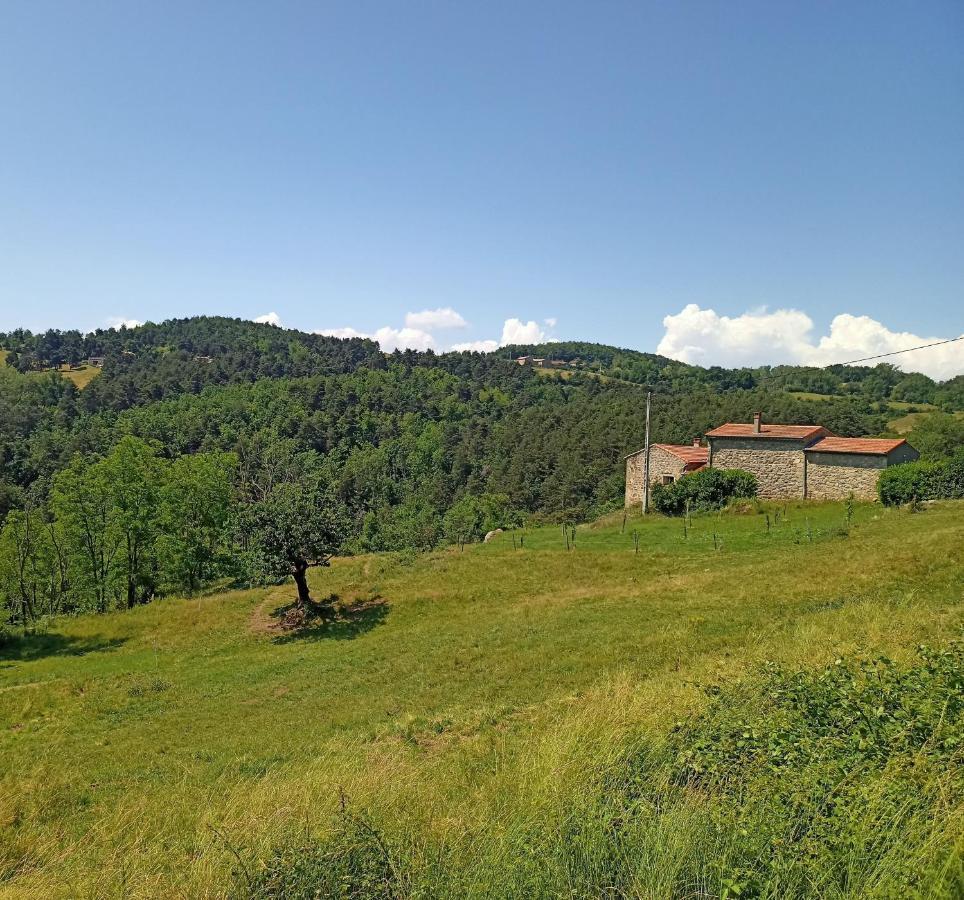 Ecrin De Verdure En Ardeche Verte Colombier-le-Vieux Extérieur photo