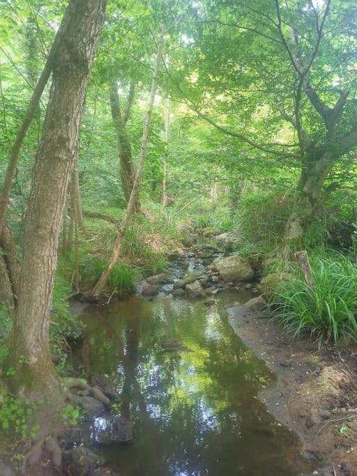 Ecrin De Verdure En Ardeche Verte Colombier-le-Vieux Extérieur photo