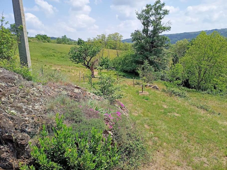 Ecrin De Verdure En Ardeche Verte Colombier-le-Vieux Extérieur photo